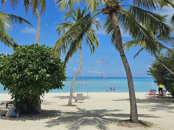 Voyage facilitez votre planification avec une agence en ligne