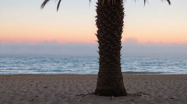 Découverte de Saint-Tropez hors saison : les trésors du Golfe zen