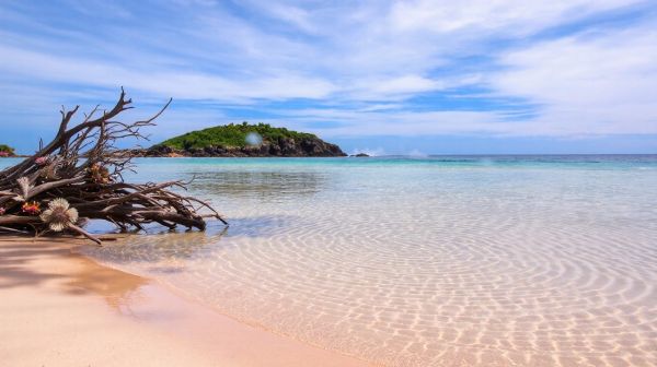 Les bienfaits secrets de l'eau de mer et des algues pour la santé